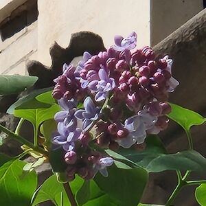 Meet your Posher.....